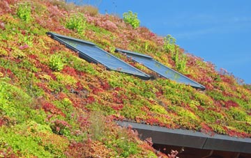 Kessingland living roof systems