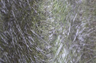 Kessingland fibreglass roof work